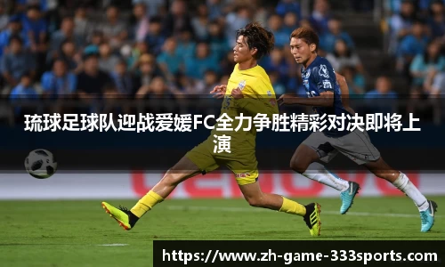 333体育官网
